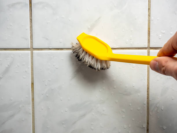 Best Mold Removal Company Near Me  in Canton, TX