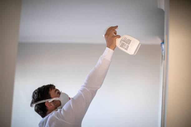 Best Best Mold Removal Companies  in Canton, TX