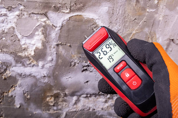 Best Commercial Mold Removal  in Canton, TX