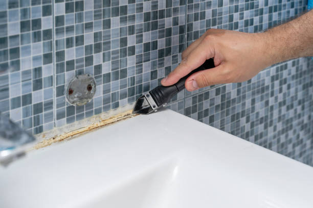 Best Mold Testing  in Canton, TX