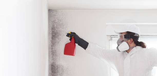 Best Residential Mold Removal  in Canton, TX