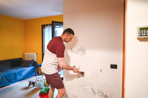 Best Office Mold Removal Services  in Canton, TX